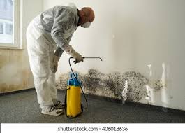 Best Mold Remediation for Rental Properties  in USA